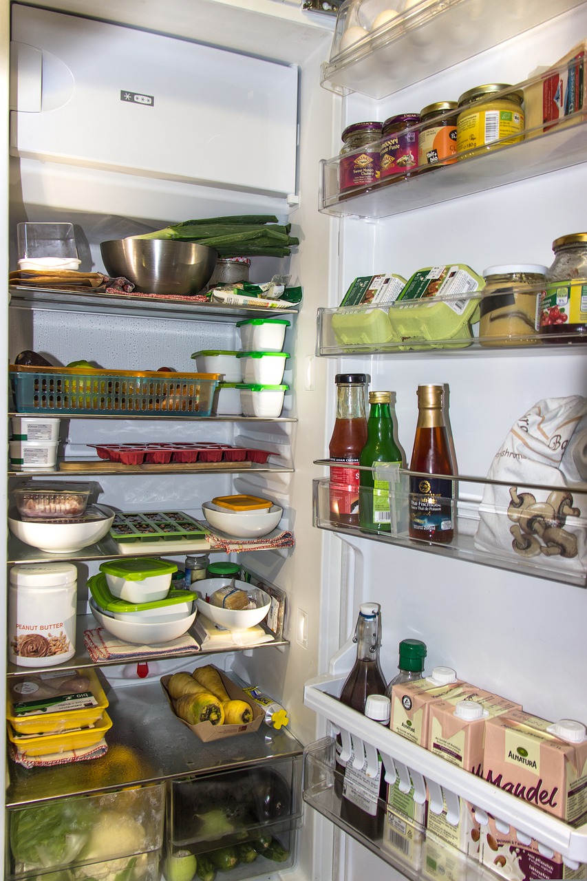 refrigerator, icebox, food-1809344.jpg